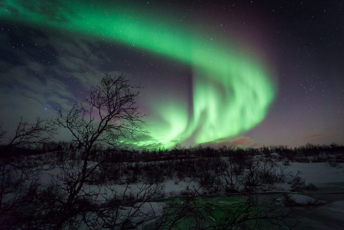 Green aurora swirling in the night sky over a snowy field and bare trees on Ringvassøya island near Tromsø