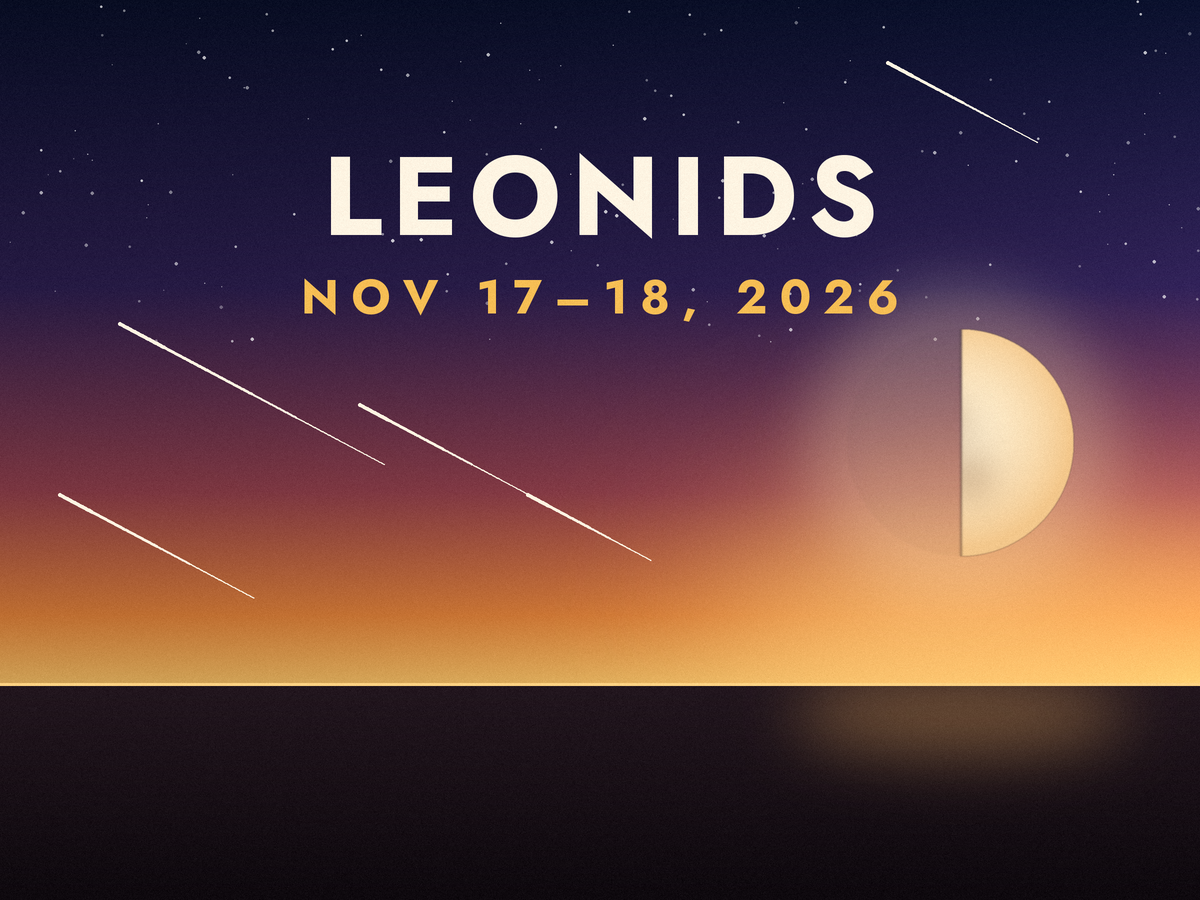 Leonid Meteor Shower 2026: When to Watch After Moonset (Nov 17–18)