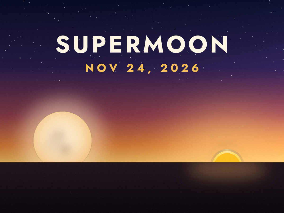 2026년 11월 슈퍼문: 11월 24~25일 해 질 녘 보름달 찍기 좋은 시간