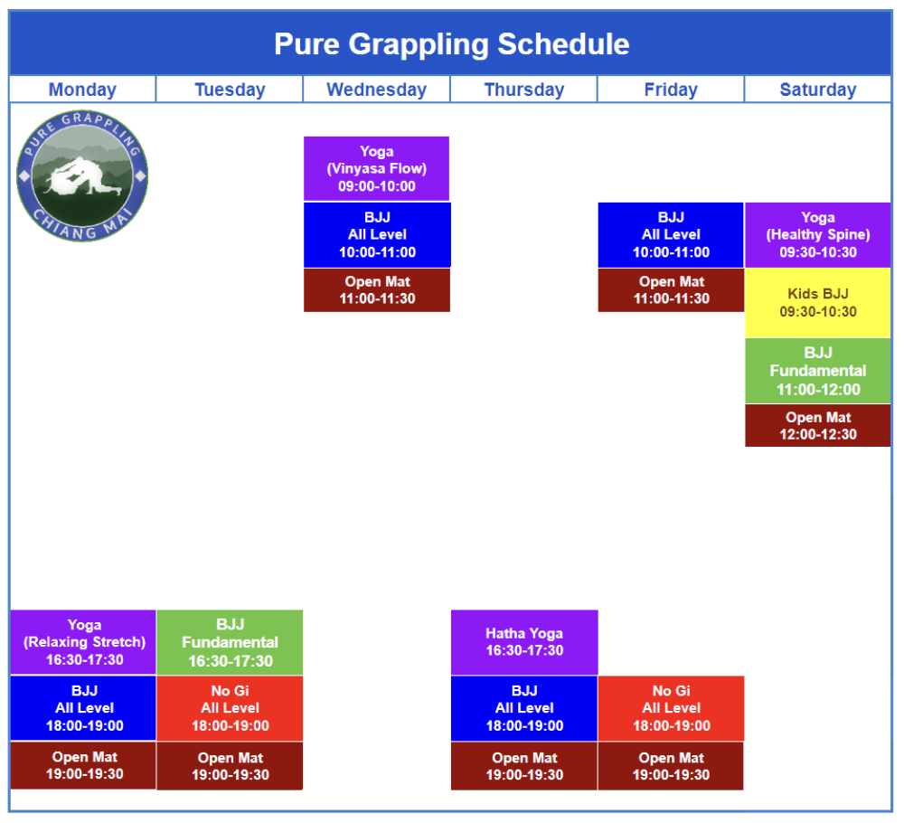 Pure Grappling Chiang Mai gym