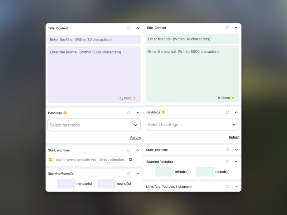 Custom color theme input screen