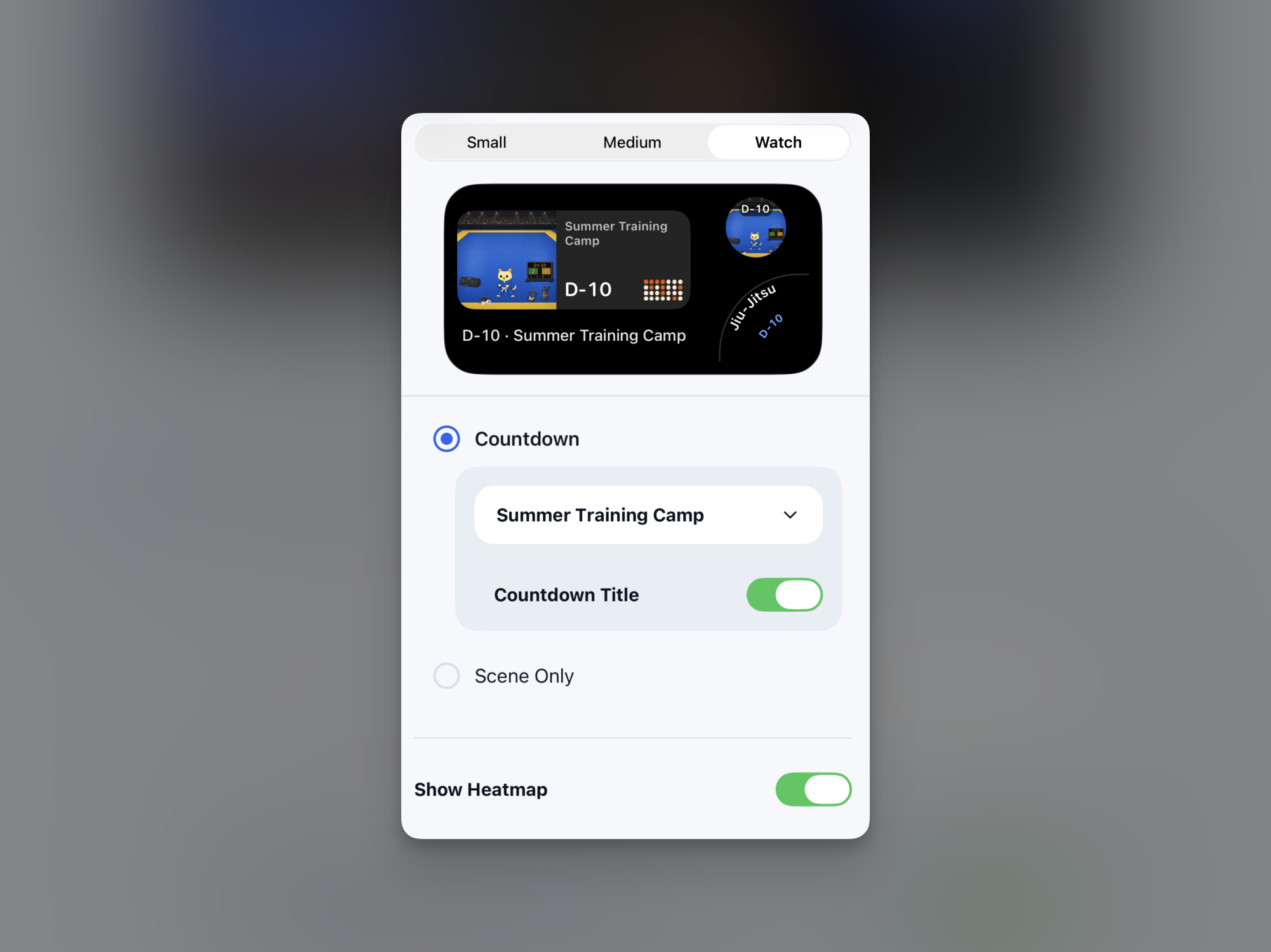 Apple Watch용 Sportling 스마트 스택 위젯 설정 화면